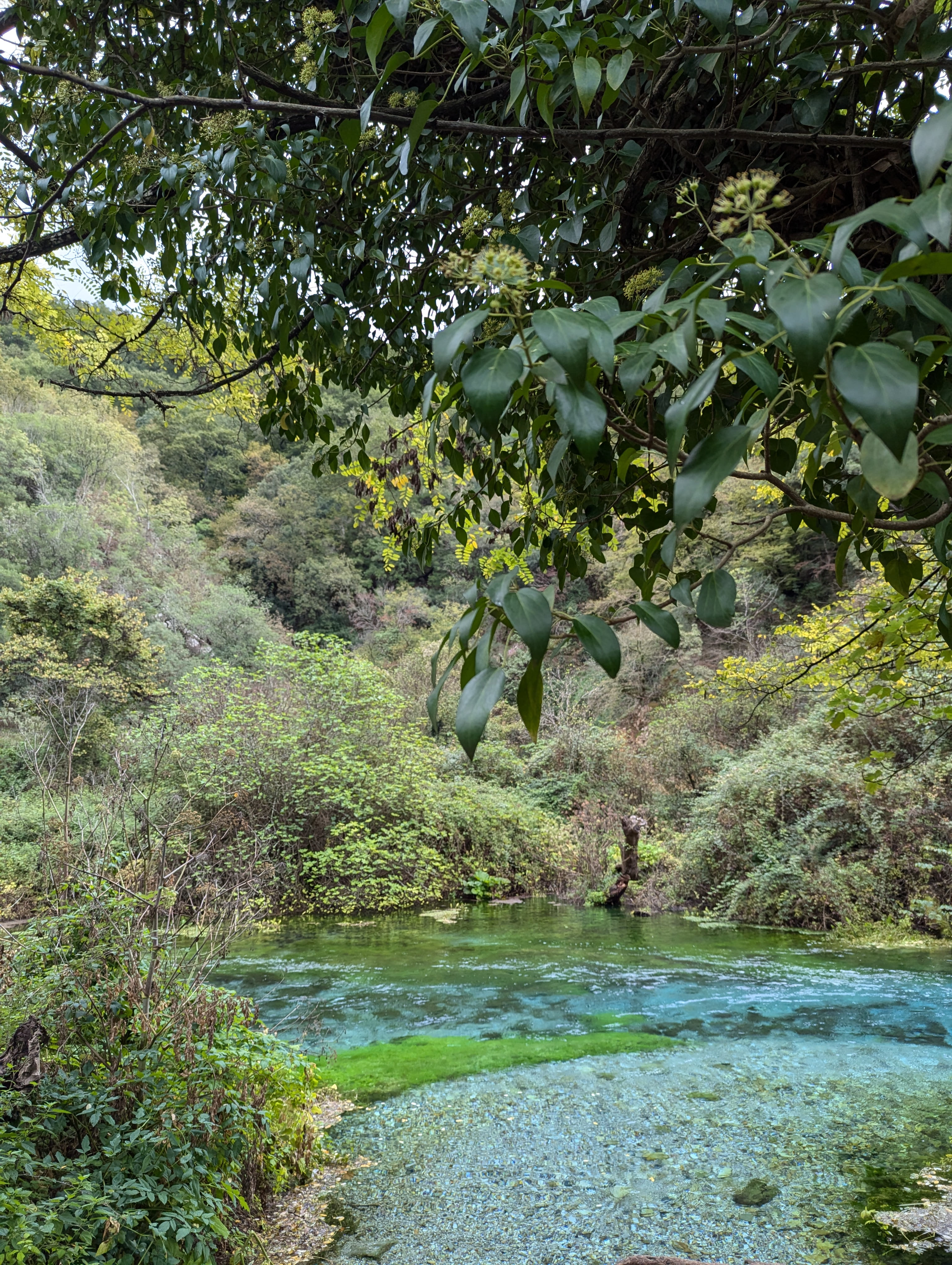 Blue Eye (Syri i Kaltër)