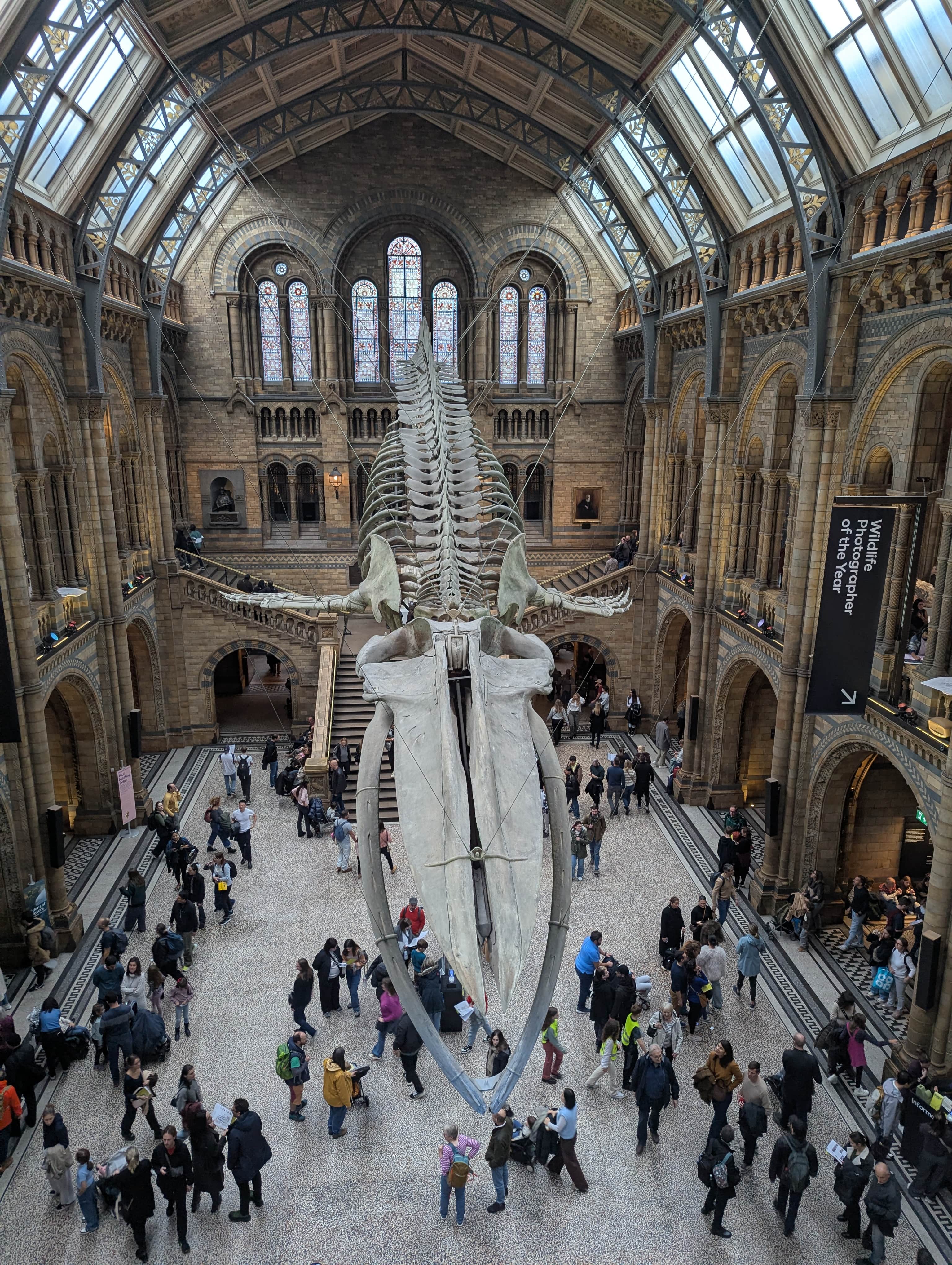 Natural History Museum