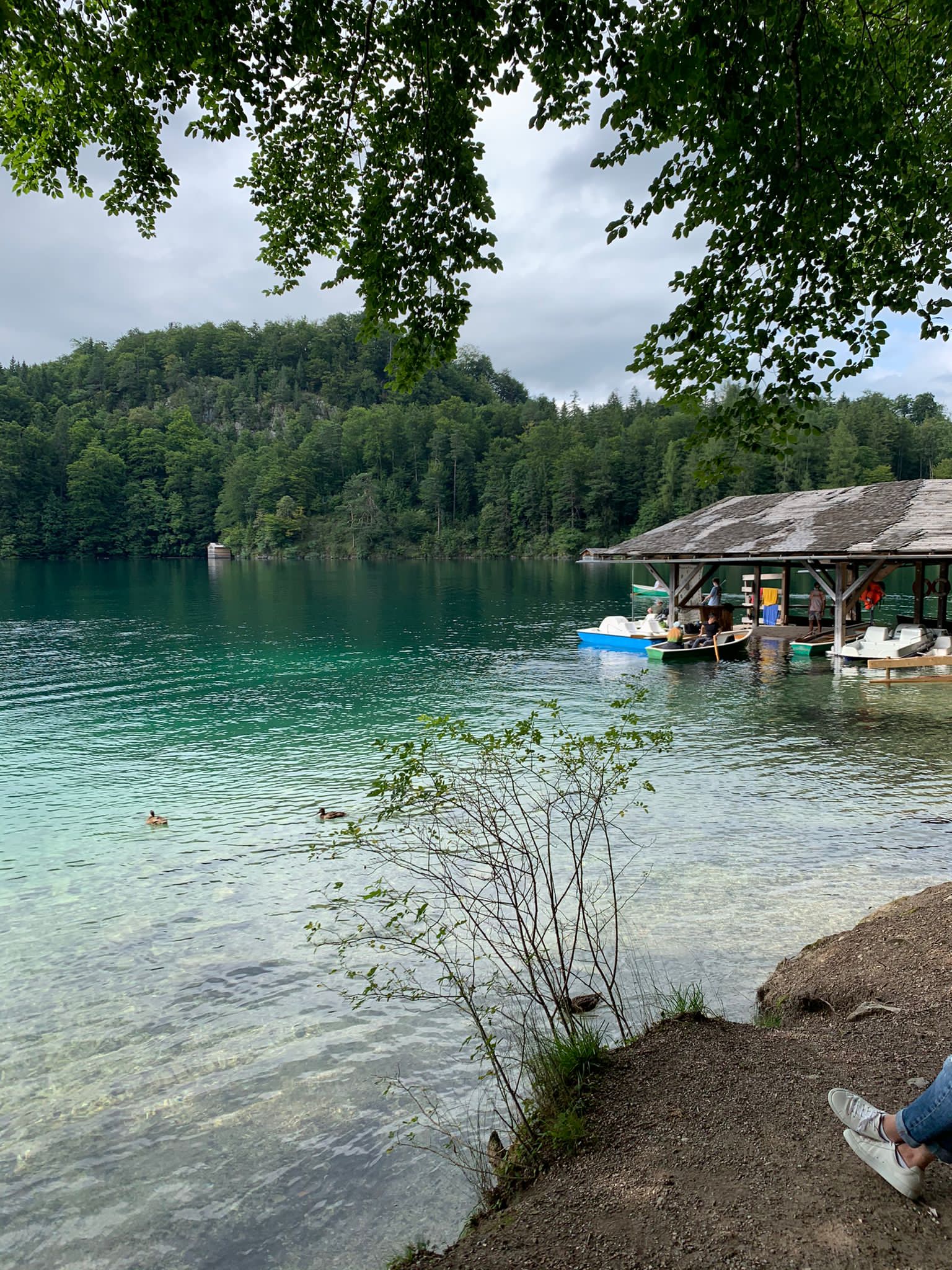 The Alpsee below the castle