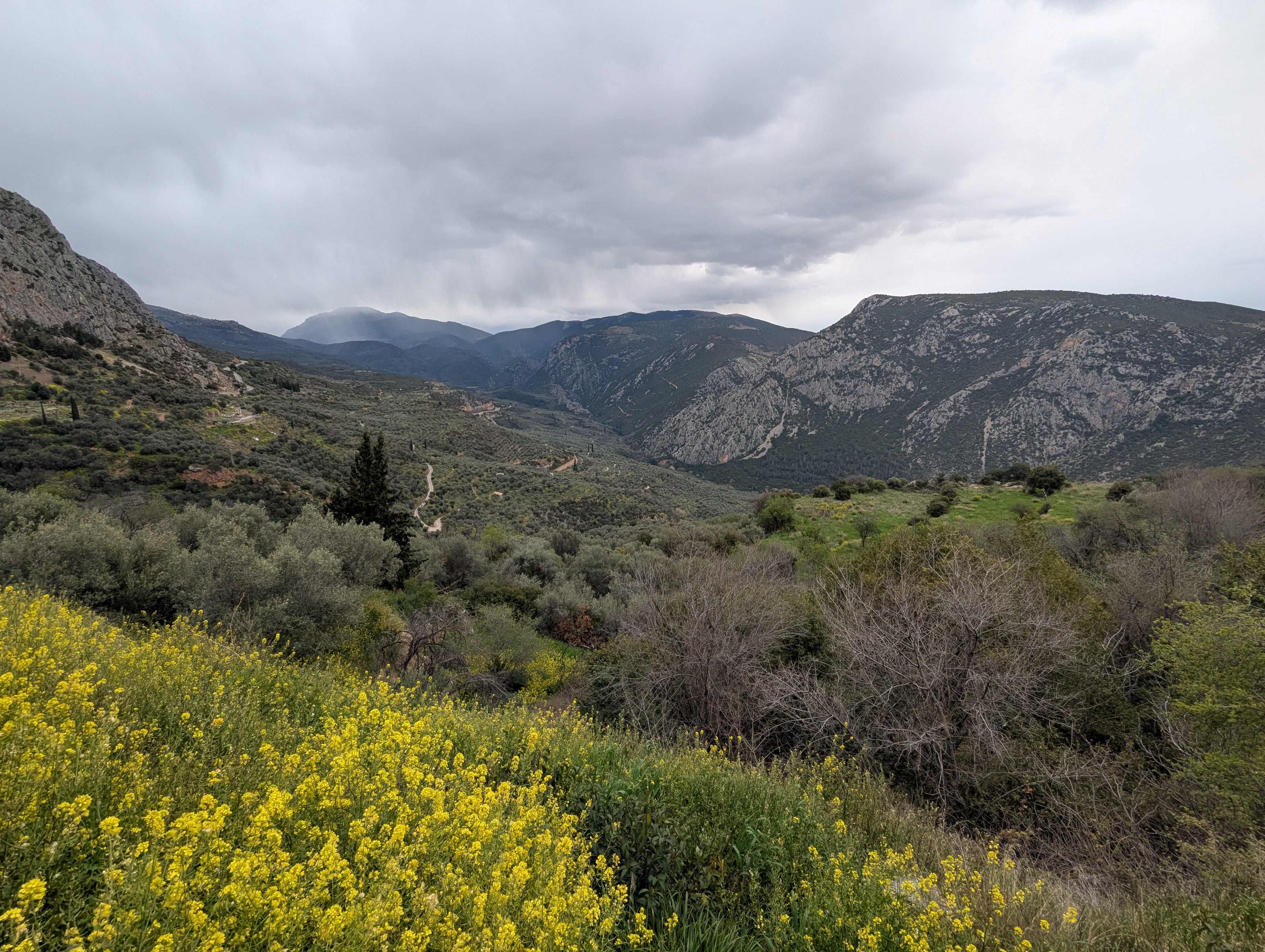 Delphi