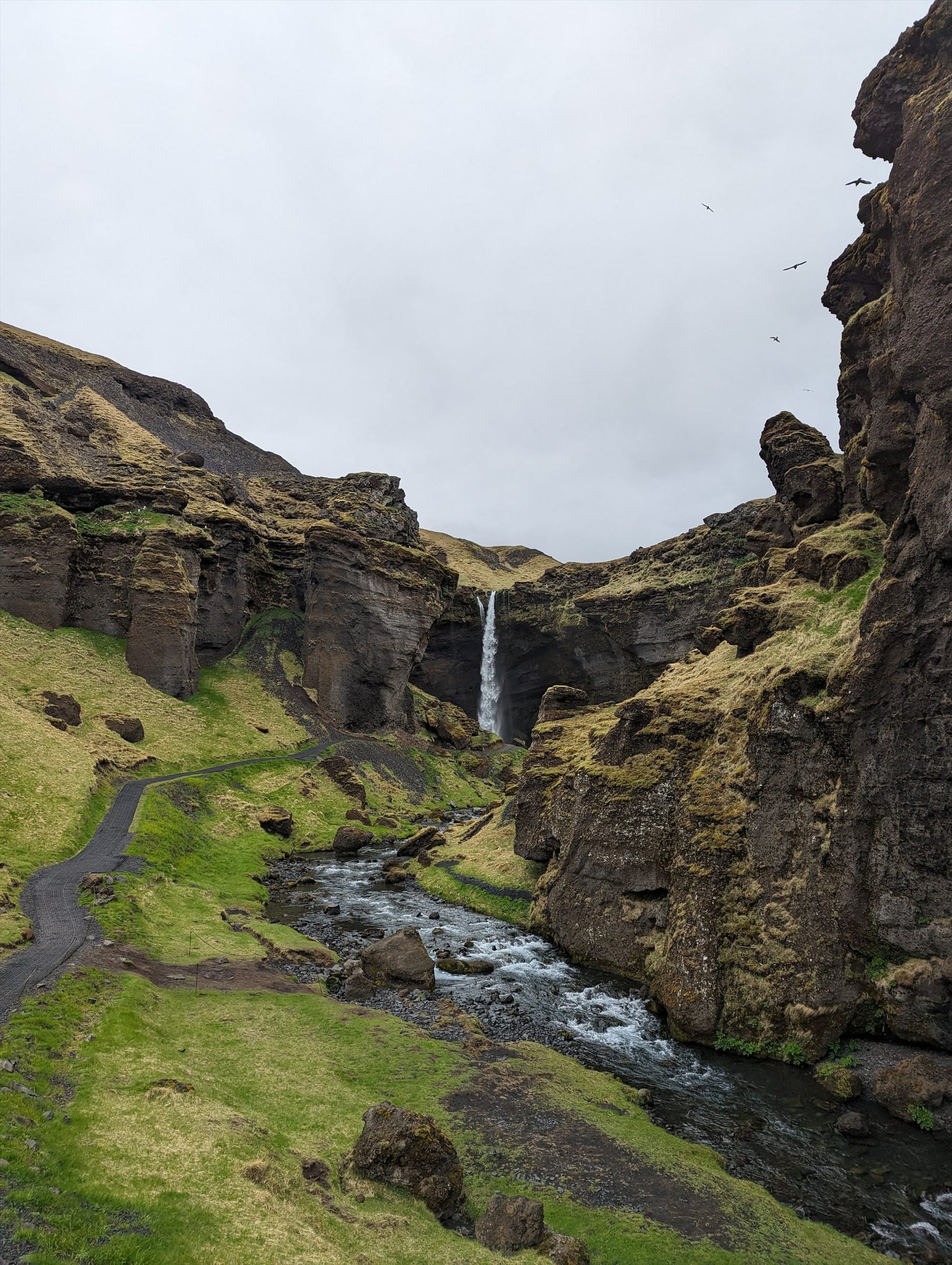 Kvernufoss waterfall falling into a mossy green gorge near Skógafoss
