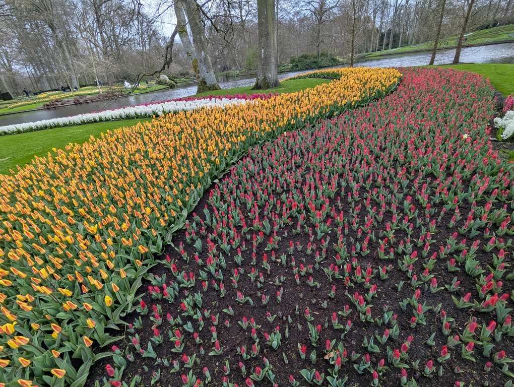 Keukenhof Gardens