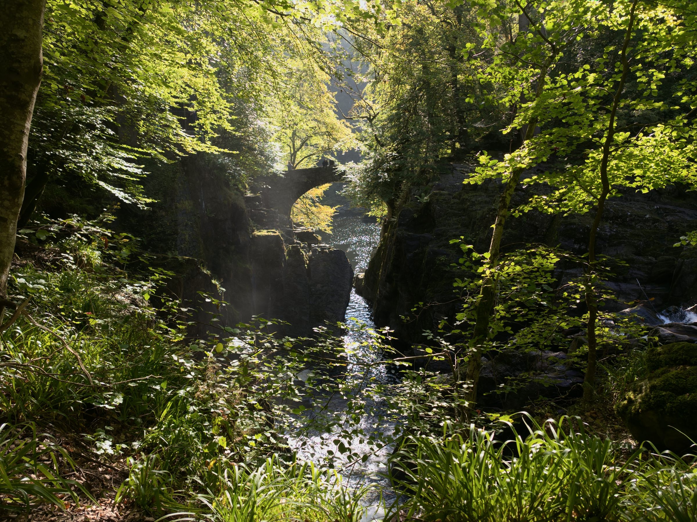 The Hermitage