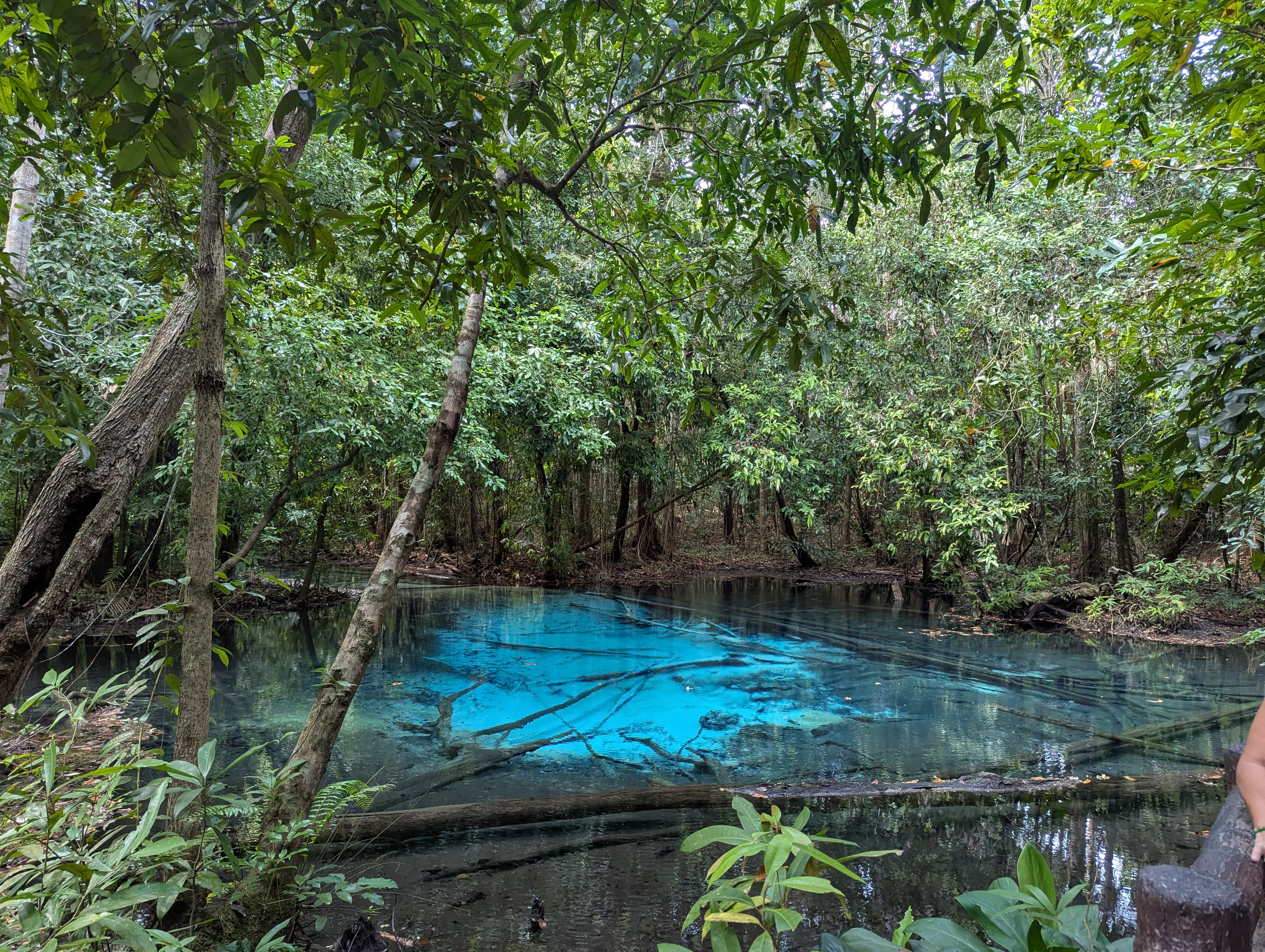 Emerald Blue Pool